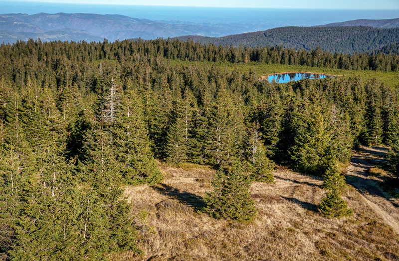 Pohod na Ribniško jezero